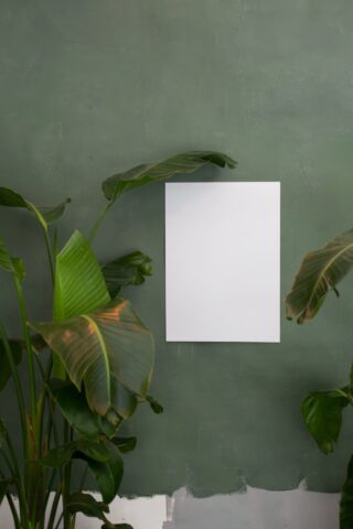 White panel against green wall surrounded by plants