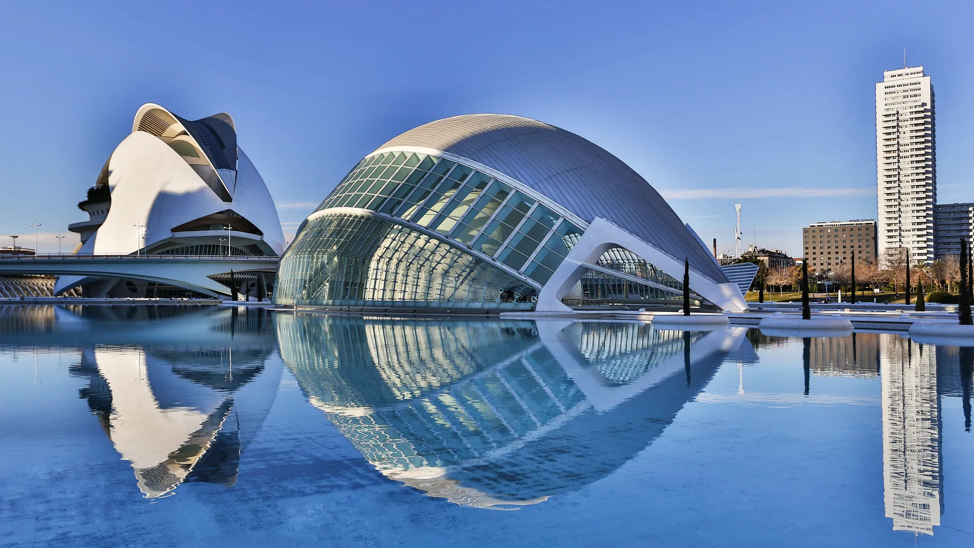 Santiago calatrava the city of arts and sciences