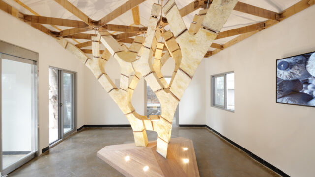 Mycotree constructed using mycelium at seoul biennale of architecture and urbanism