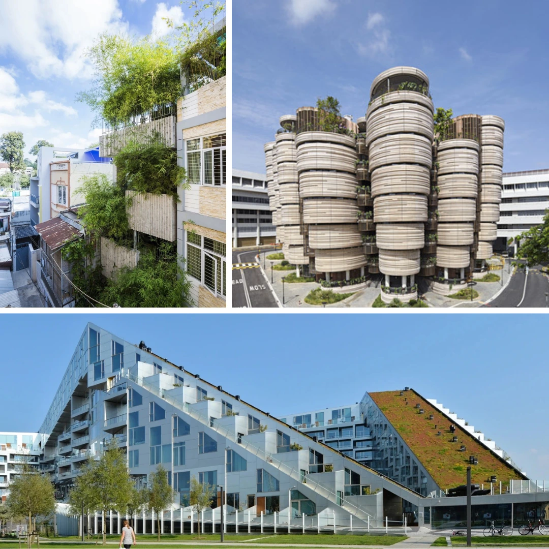 sustainable architecture