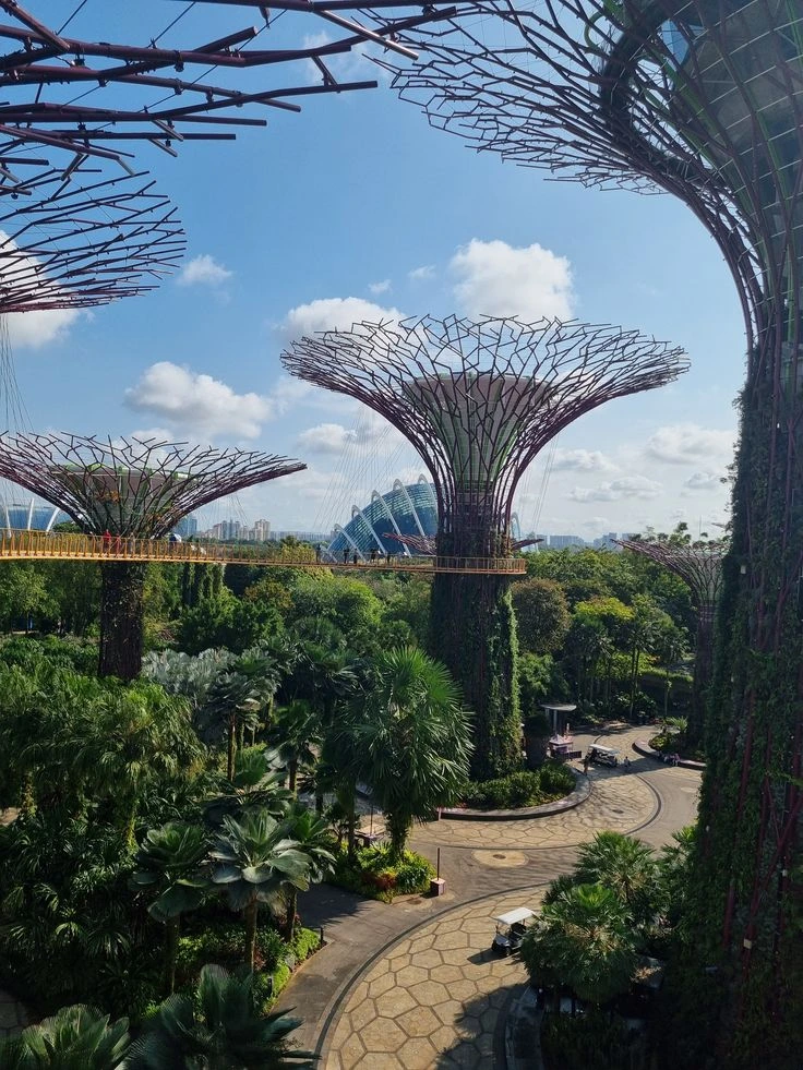 gardens by the bay