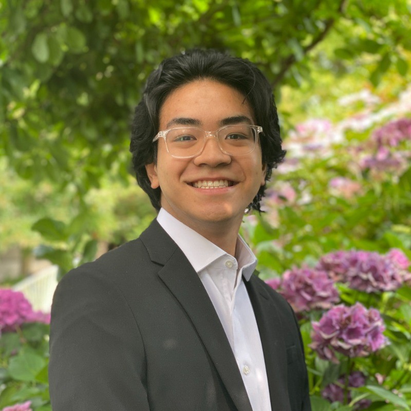 David A&ntilde;el